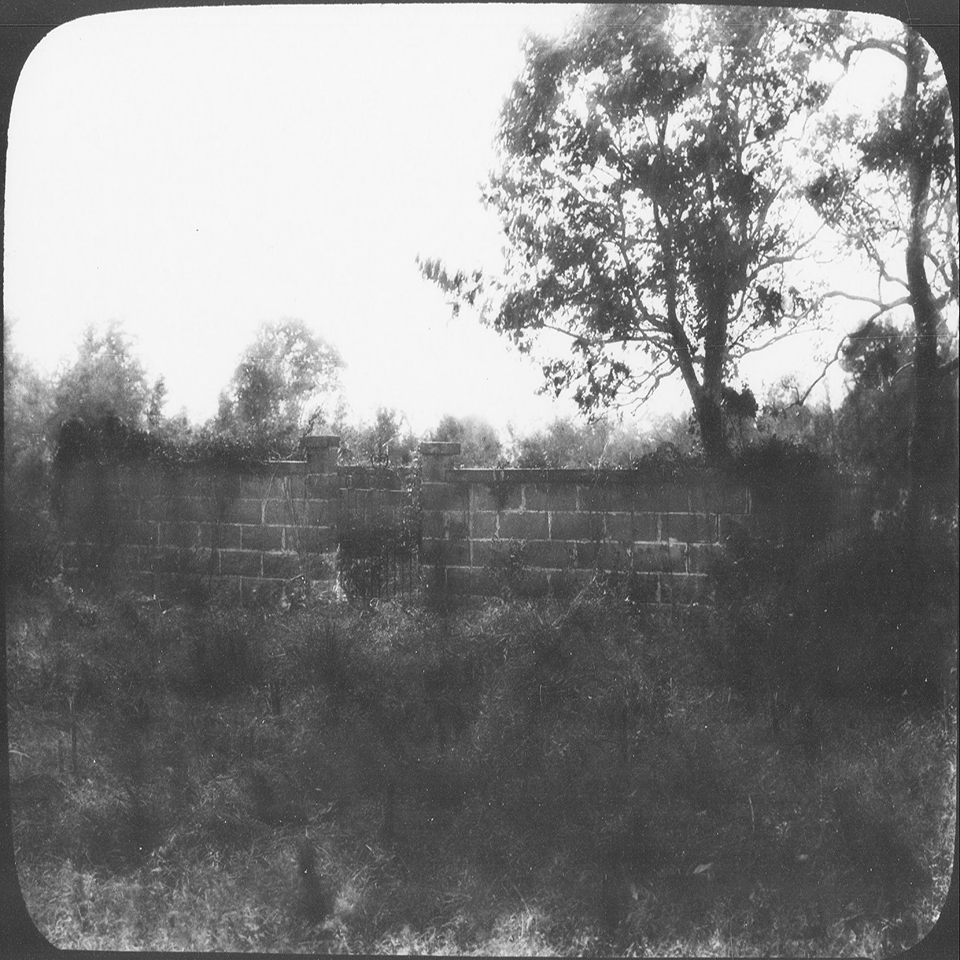 Block wall of burial ground with overgrown vegetation
