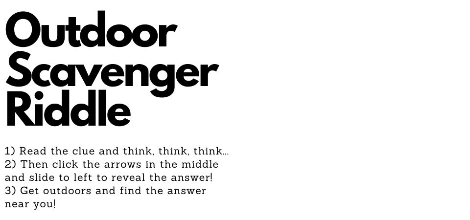 Text stating, "Outdoor Scavenger Riddle" with directions on how to complete riddle.