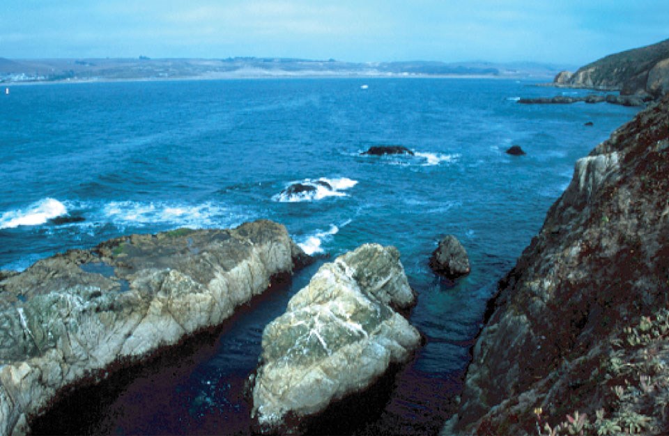 Tomales Bay is the surface expression of the San Andreas Fault.