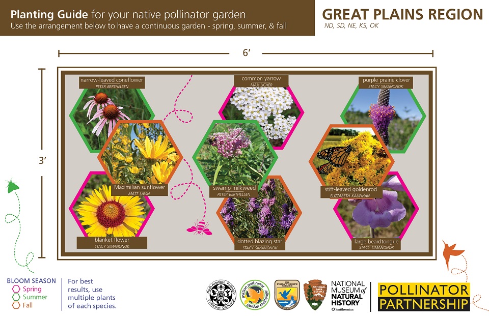Great Plains Region Pollinator Card (front)