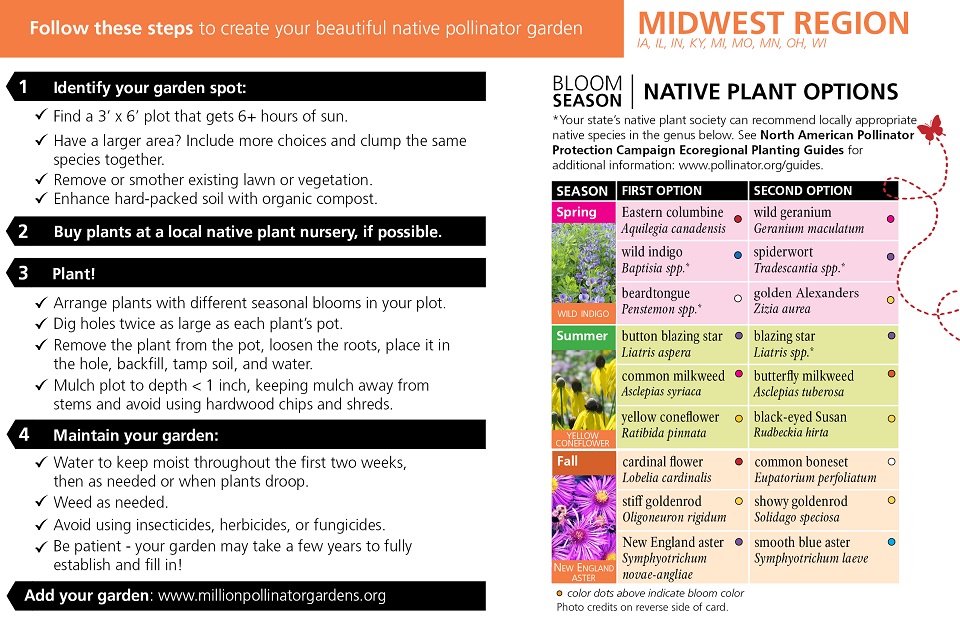Midwest Region Pollinator Card (front)