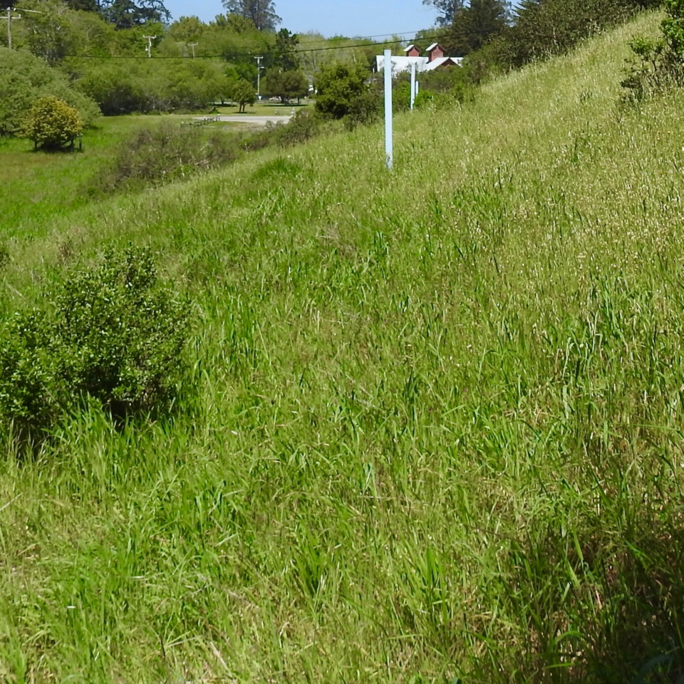 A black and white photo of a woman standing in a surface rupture, where the soil has been turned over, with a barn in the background.