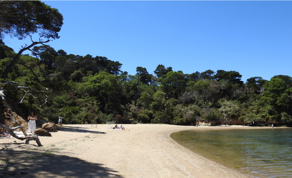 A black and white photo of a man sitting at the stern of a small sailboat as it gently lands on a sandy beach.