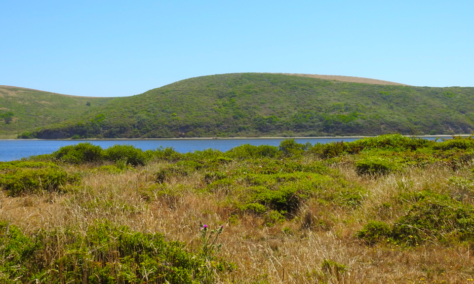 A black and white photo of horse-drawn wagons traveling along a dirt road that leads to a building and a dock on a body of water with hills in the background.