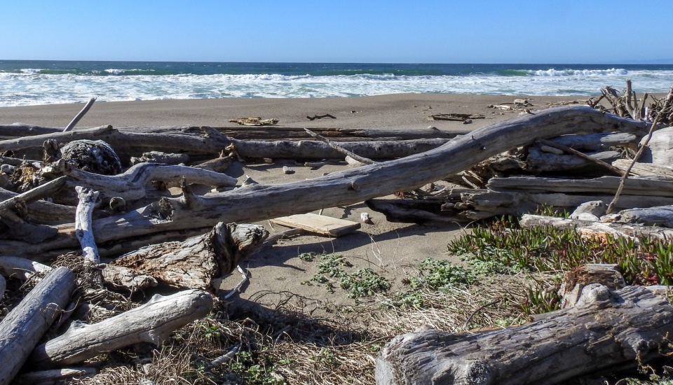 Black and white photo of two men on a beach with a ship caught in heavy surf very close to shore.