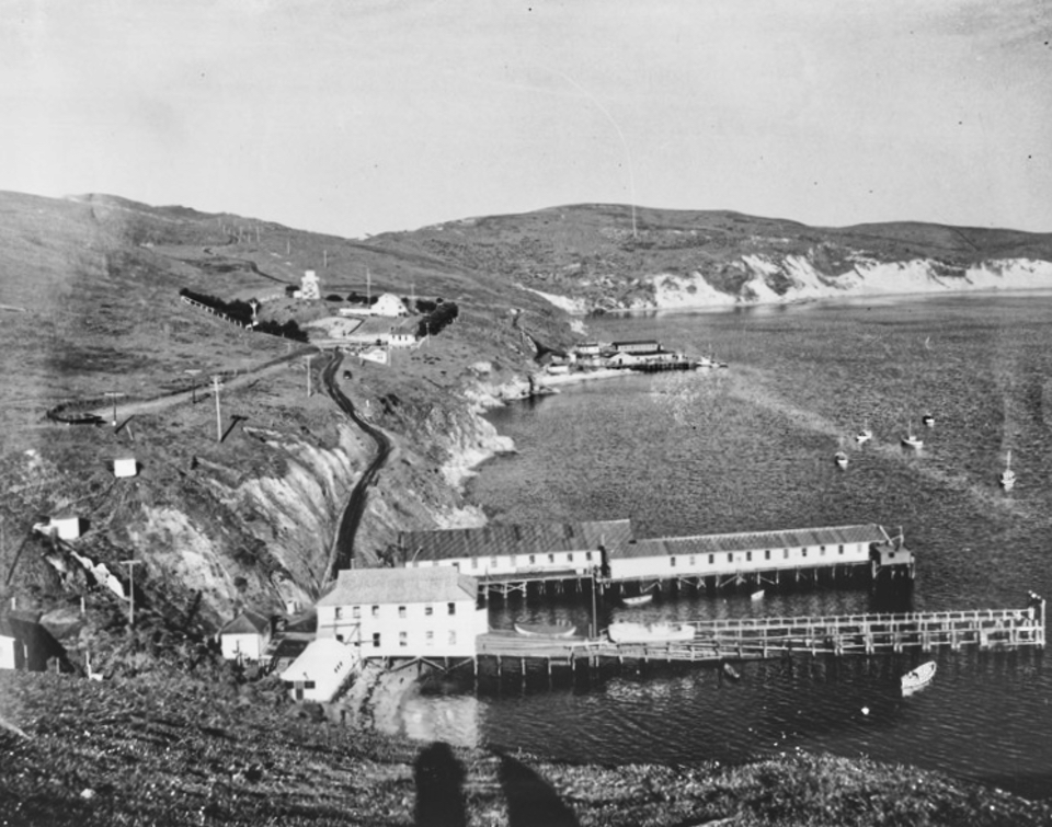 A black and white photo of buildings and piers on a steep hillside on the left with a bay filled with boats on the right.