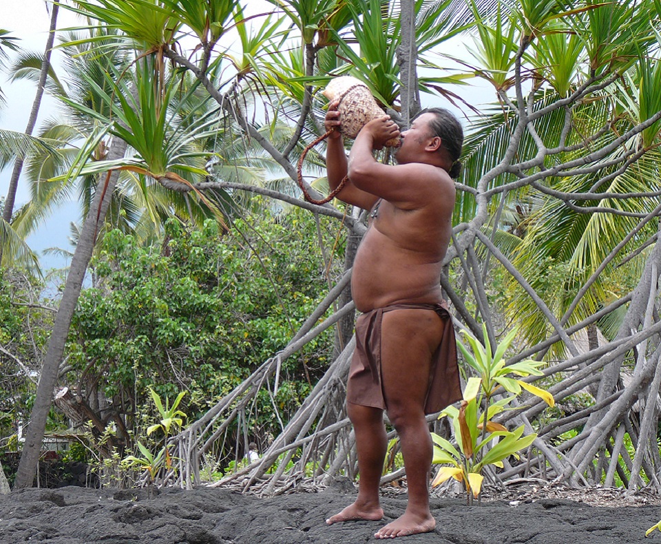 A man in traditional dress blowing pū (conch shell trumpet) on the beach with coconut trees