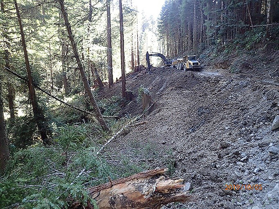 A dirt road, trees and tree stumps on a hill. An excavator works in the distance.