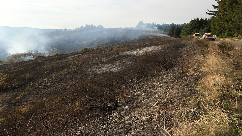 Upper Counts Prairie: November 2019