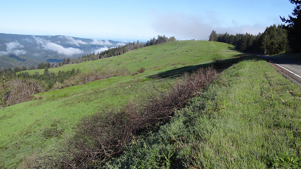 Upper Counts Prairie: November 2019