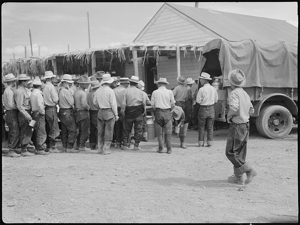A view in the lunch shed at the farm. Trucks from the kitchens bring hot lunches to the workers