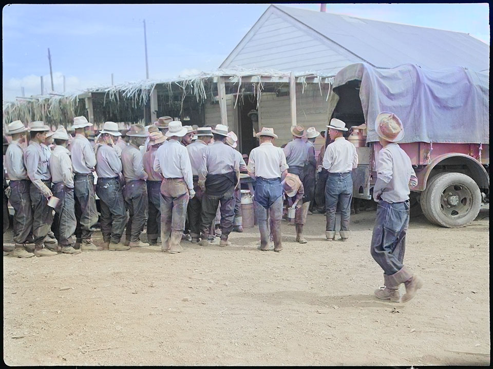 A view in the lunch shed at the farm. Trucks from the kitchens bring hot lunches to the workers
