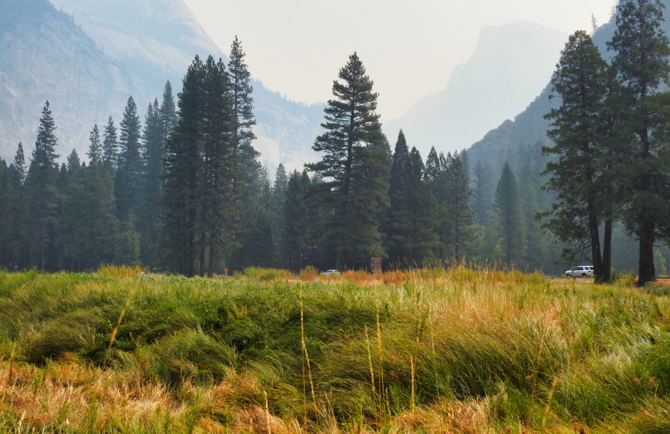 Soldiers riding horses in a meadow with granite cliffs in background.