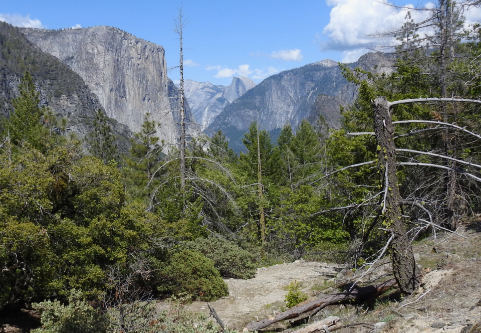 Several older cars in a row on a road with cliffs and a waterfall in background.