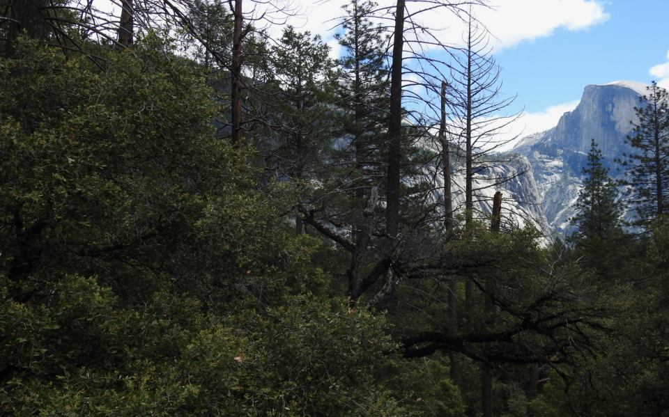 Painting of a waterfall with a valley and granite cliffs.