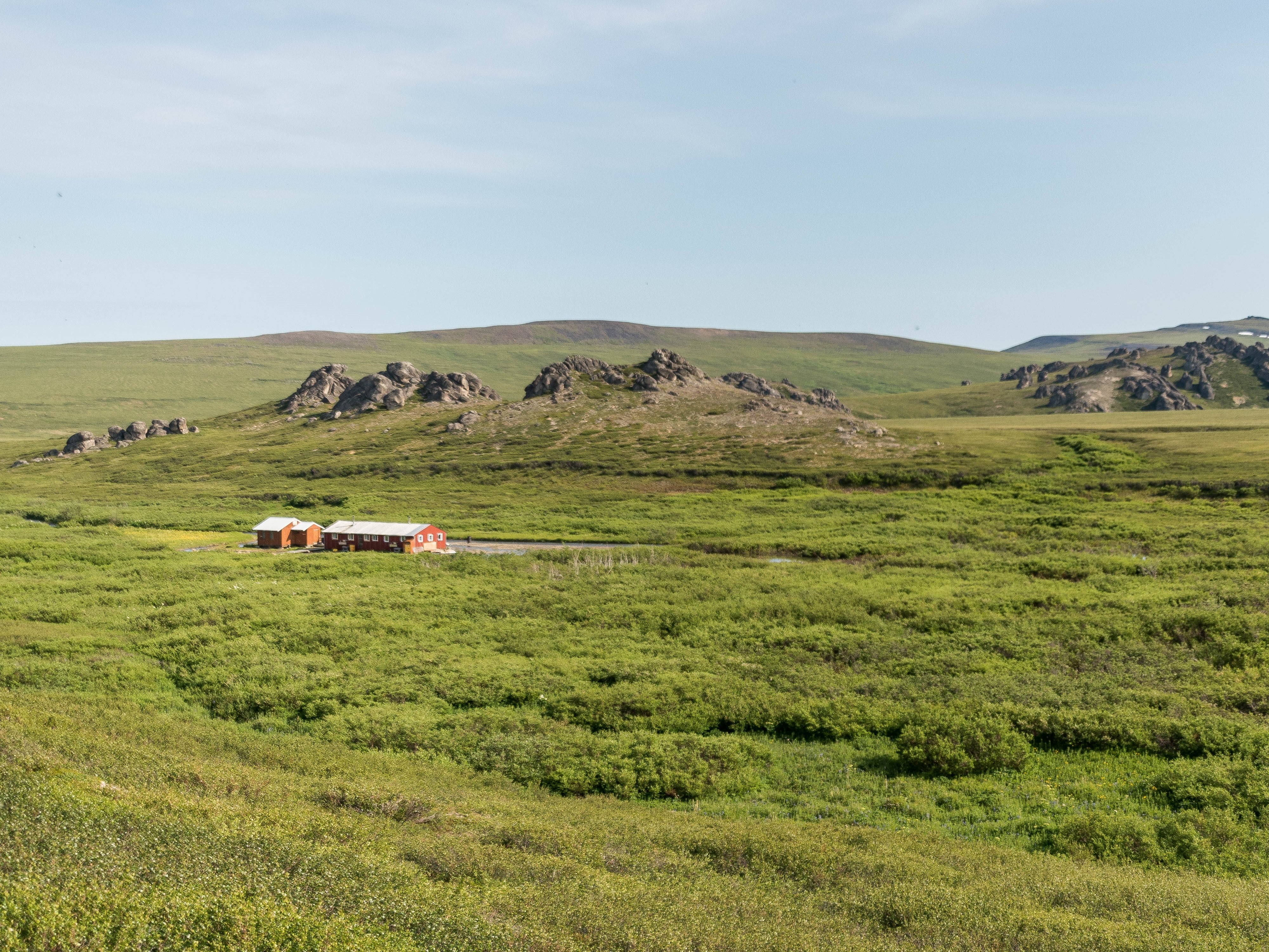 A stand of cottonwood trees next to two reddish buildings. Large granite tors rise in the background.