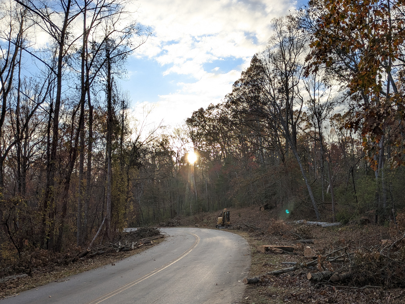 Tress lie across a road with several national park service staff in bright clothing standing nearby