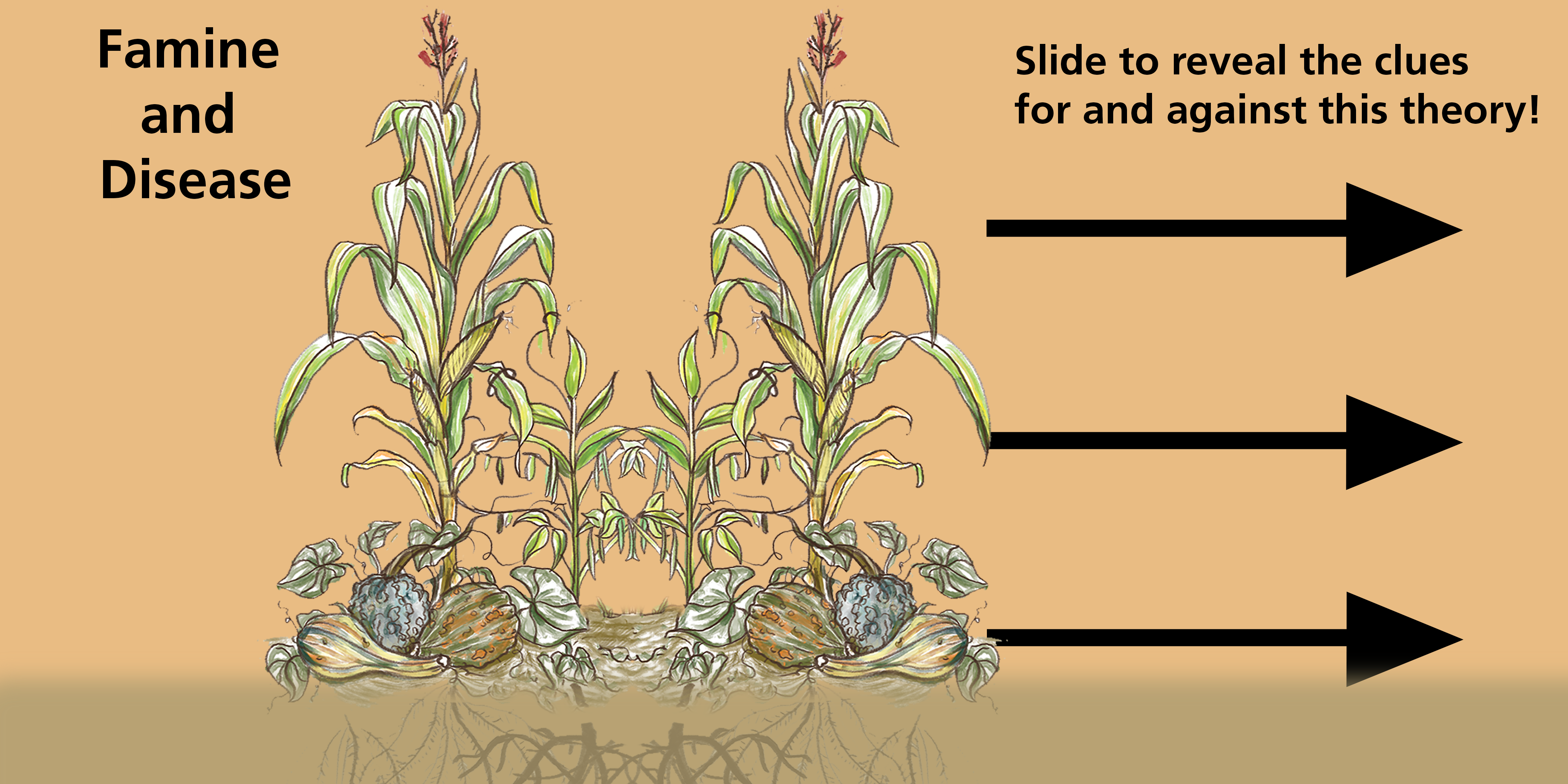 A graphically designed image watercolor corn beans and squash growing together with pros and cons of the theory that disease and famine killed the Lost Colonists (explained below)