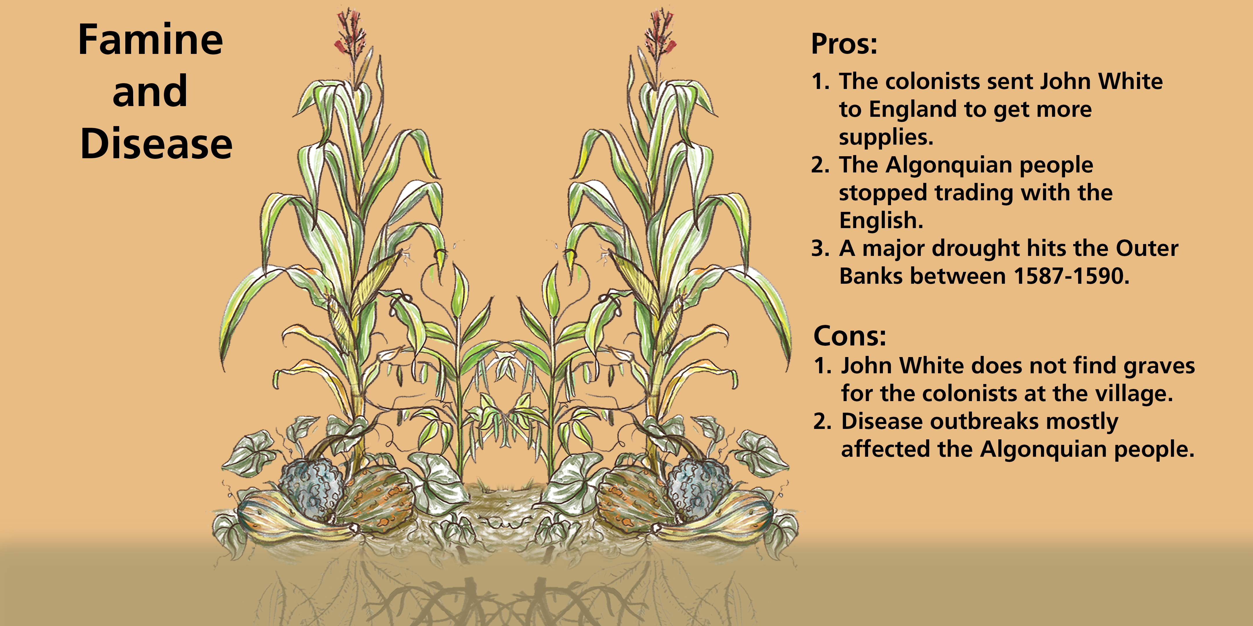 A graphically designed image watercolor corn beans and squash growing together with pros and cons of the theory that disease and famine killed the Lost Colonists (explained below)