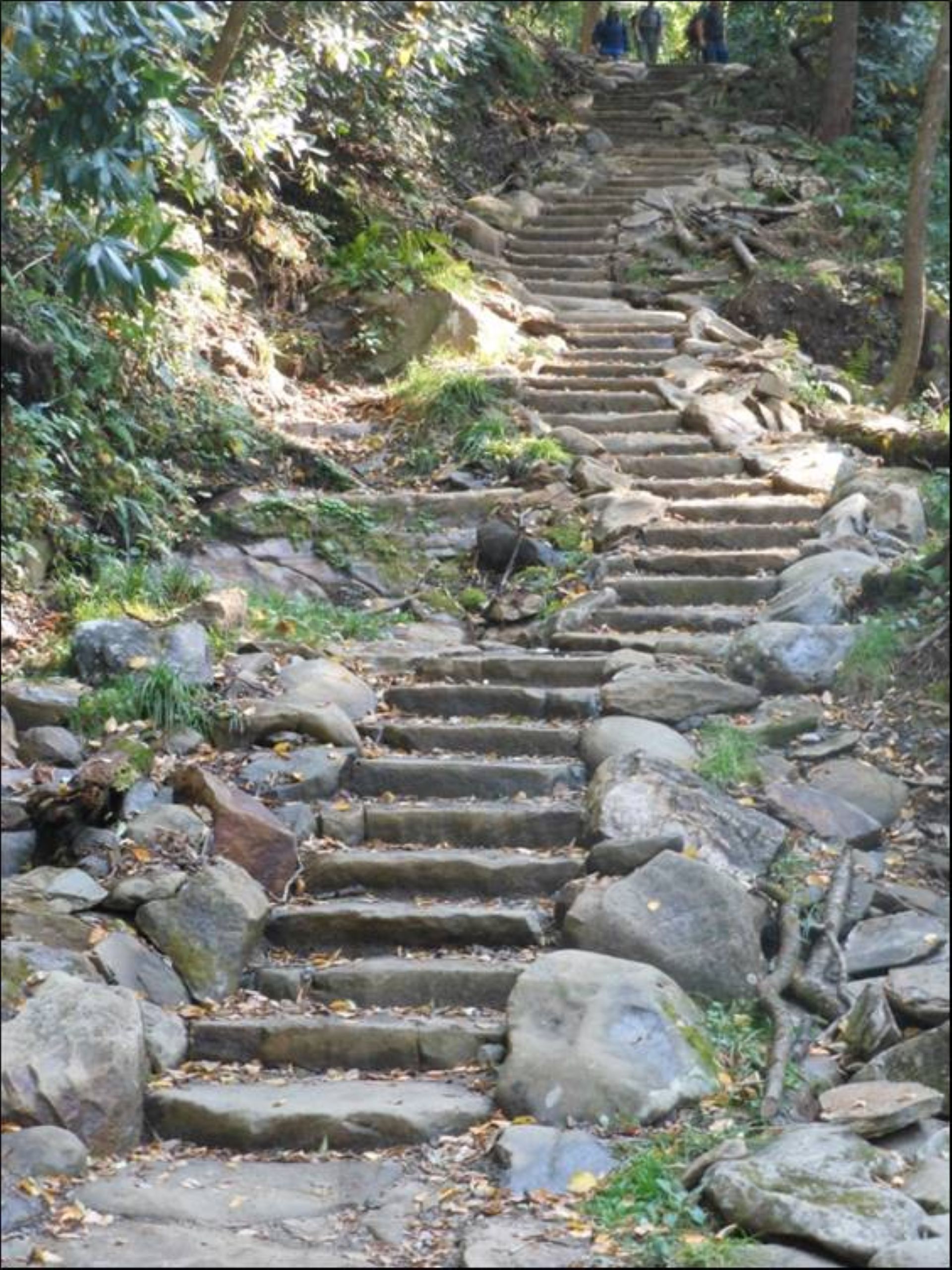 A rocky steep trail with water slowing cascading down it.