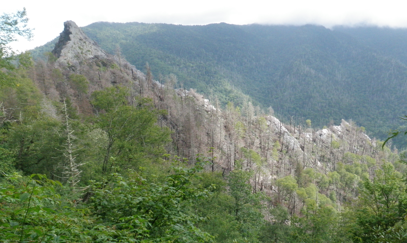 A recently burned towering mountain peak. Green mountains appear in the cloudy background.