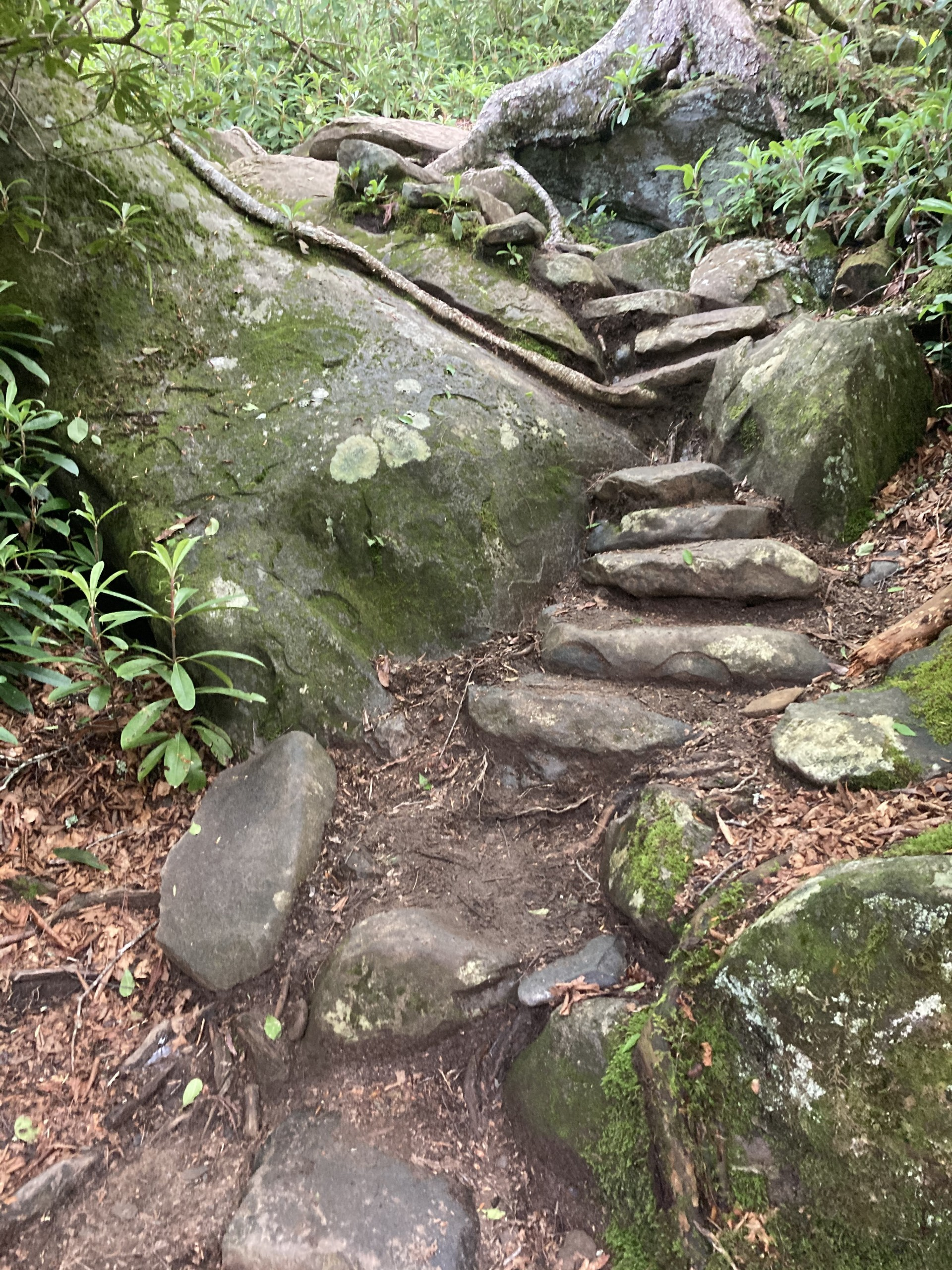 A steep trail of curved rock steps