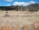 Grassland at Capulin Volcano National Monument