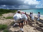 kids cleaning beach