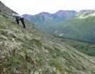 a person on a tree-less hillside overlooking a green valley