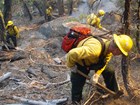 firefighters building a fireline at Yosemite