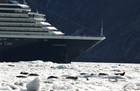 A large cruise ship nears harbor seals hauled out on the ice near Glacier Bay National Park