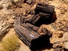 2 large dark wood logs laying in a rocky landscape 