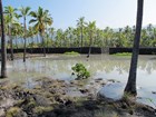 tsunami innundation of historic fish ponds