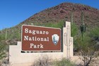 Saguaro NP entrance sign and saguaro cacti