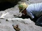 paleontologist working on fossil quarry site
