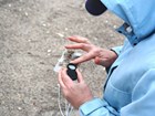 person looking closely at sand grains