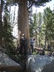 Biologists measure the girth of a whitebark pine tree.