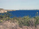 A view of the reservoir and long bridge from a plant covered cliff.