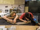 two people working on a fossil