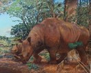 a large rhino-like creature in a subtropical forest with its offspring