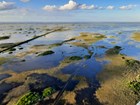 An aerial view of a flooded Everglades ecosystem. Some green patches are shown surrounded by water.