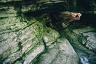 A tunnel through limestone, dissolved by water