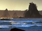 Sea stacks rise above ocean waves washing ashore. A wooded ridge rises in the distance.