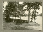 trees on the edge of the water, with others on the other side