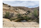 A small tinaja (pool of water in the rock) amongst rocky hills and scattered vegetation.