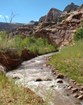 A stream bordered with green vegetation; rock formations in the background.