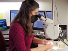 Photo of a person sitting at a laboratory microscope
