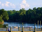 A man fishes off a dock along a river in front of a treed shoreline under a blue sky and clouds.