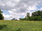 A mowed grass hilltop beyond a wire fence is lined with trees.
