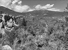 A mountain landscape with pinyon pines and junipers in abundance.